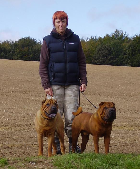 Two Shar Pei on a walk in autumn