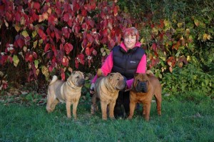 Dixie, Inchi, Tippi and me - Oct 2012