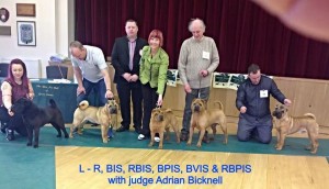 Mono Winning BPIS