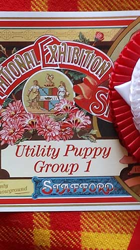 2014 Birmingham Utility Group 1