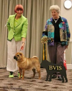 Tippi Best Veteran SPOTY